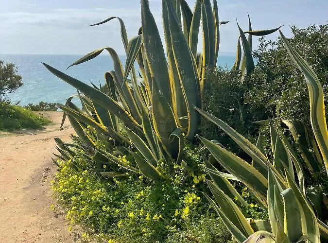 Casa Prainha, 10 Pessoas Σπίτι διακοπών Alvor